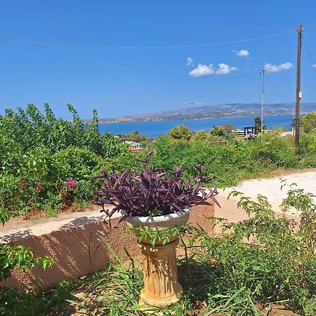 Apartment Lassi 1 Argostoli (Kefalonia)